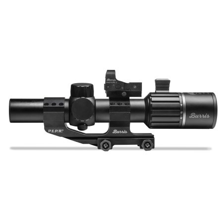 Burrris Optics RT6 w/ FastFire3 PEPR